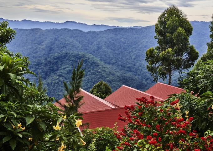 Nkuringo Gorilla Lodge